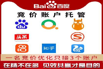 百度竞价赚钱攻略：实战案例分享